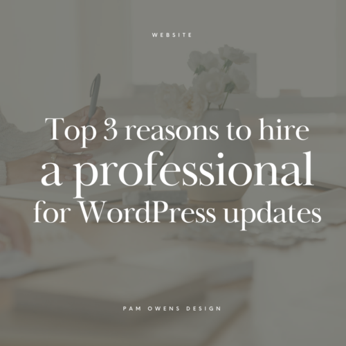 top 3 reasons to hire a pro for wordpress updates