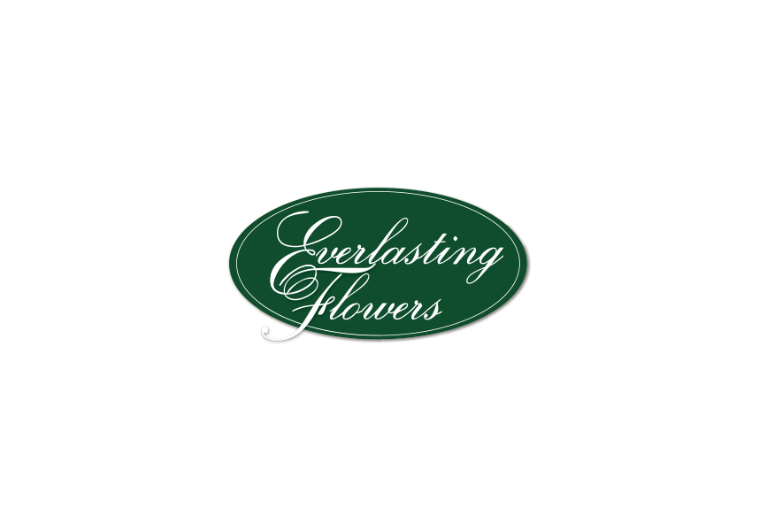 everlasting-flowers